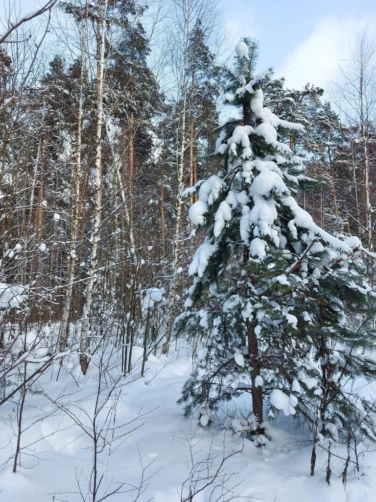 Tapтaлeтки & Ко