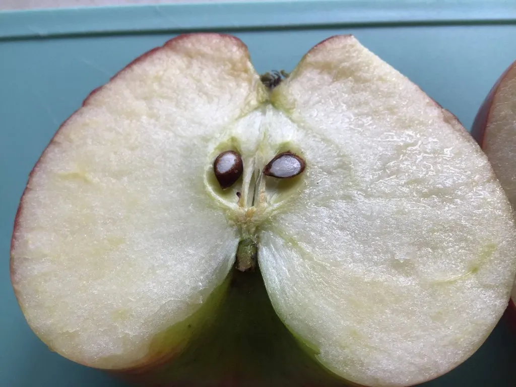 Где, что и когда купить в Москве