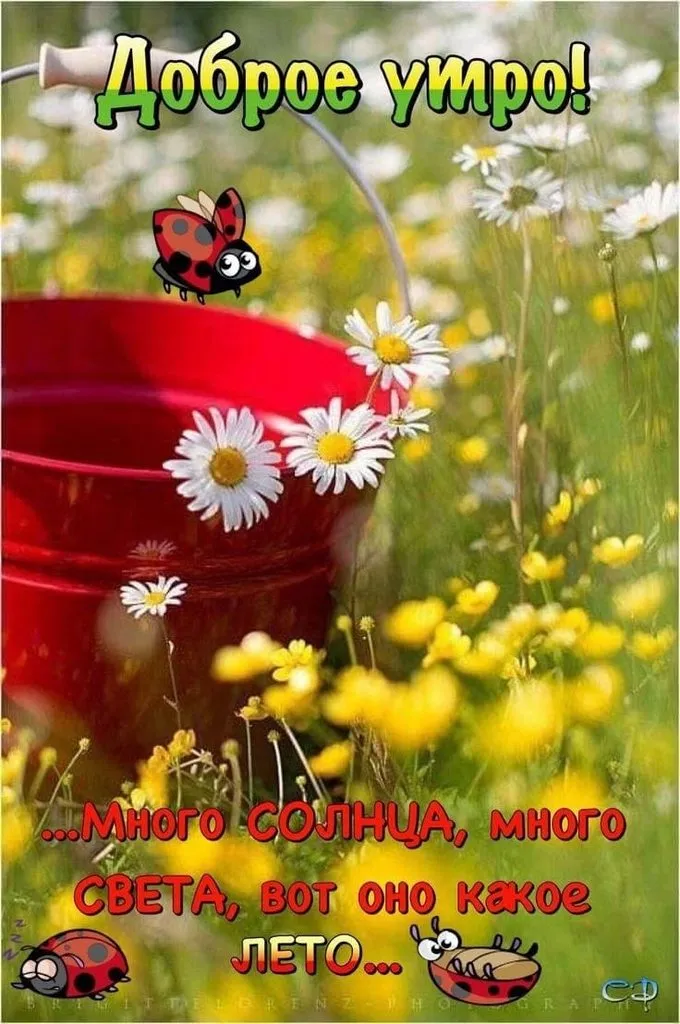 Кафе «У пани Сони»
