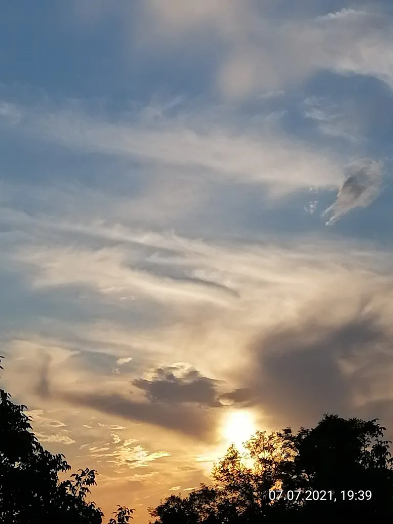 Чайная беседка