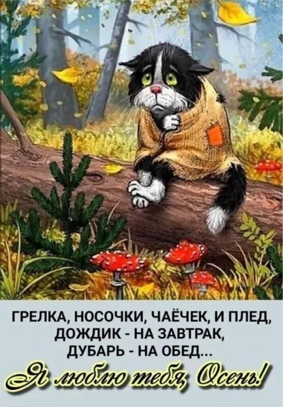 Позитивчик (фото, видео, рассказы для хорошего настроения)