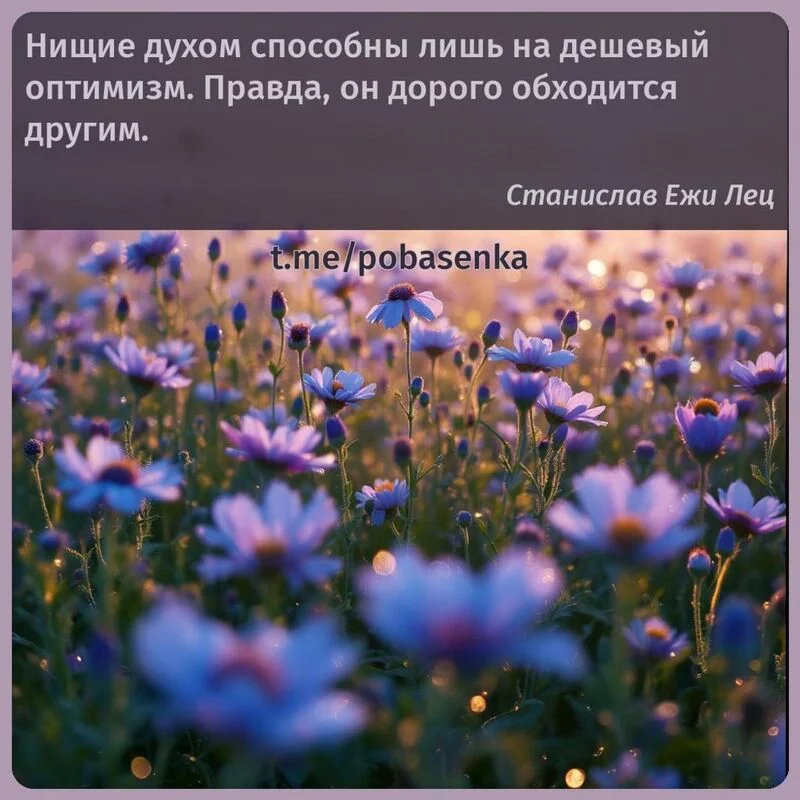 «Нищие духом способны лишь на дешевый оптимизм. Правда, он дорого обходится...» height="550" width="550"