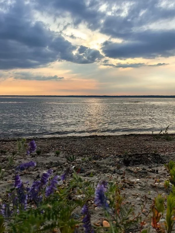 Такое разное небо