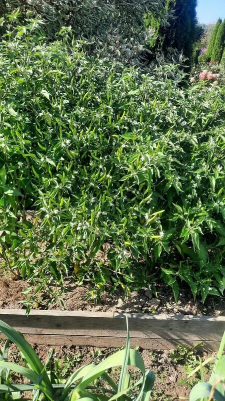 Где, что и когда купить в Москве