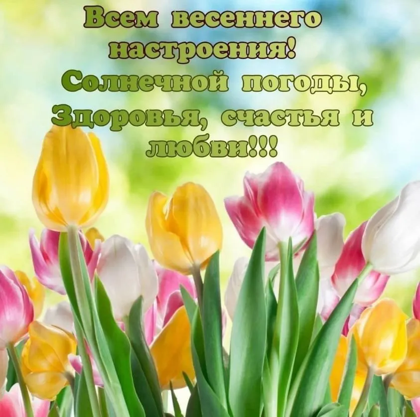 Кафе "У пани Сони"