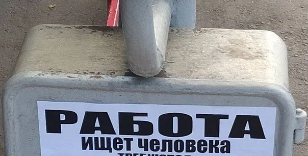 Всюду рифмы