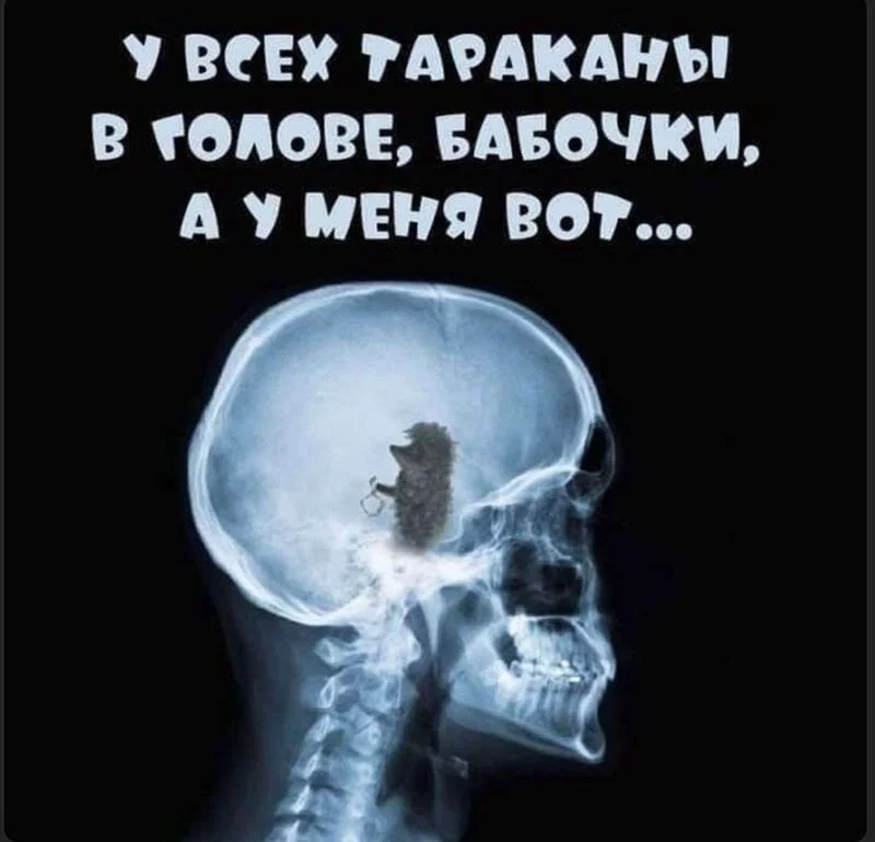 Посмеялся сам - поделись с другом!!!