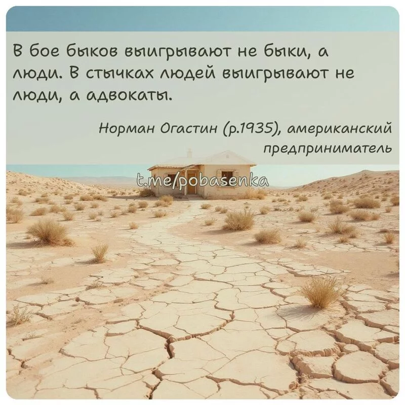 «В бое быков выигрывают не быки, а люди. В стычках людей выигрывают не люди, а...» height="550" width="550"