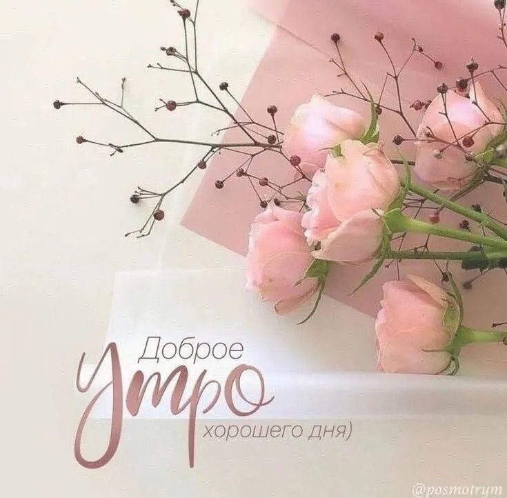 Кафе «У пани Сони»