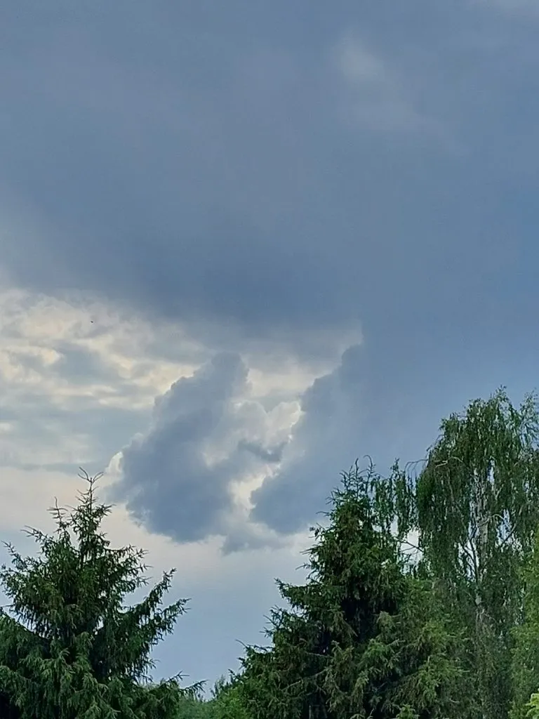 Такое разное небо