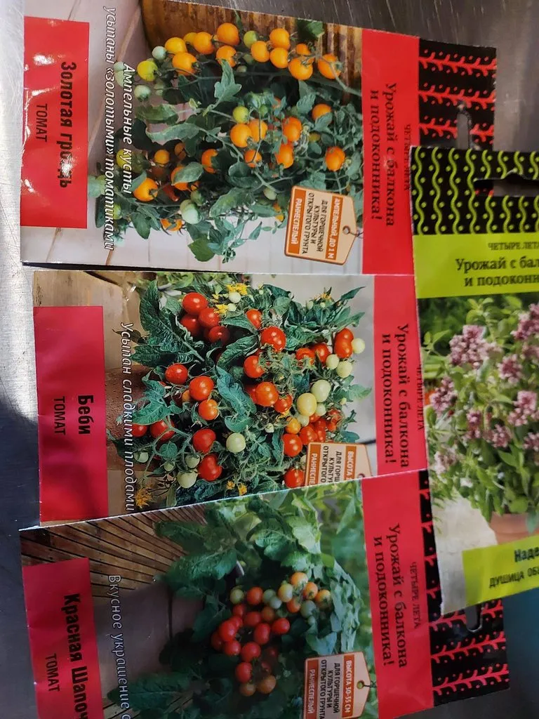 Tapтaлeтки & Ко