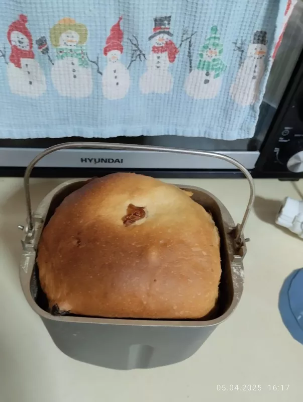 Мини-хлебопечка Panasonic SD PN100