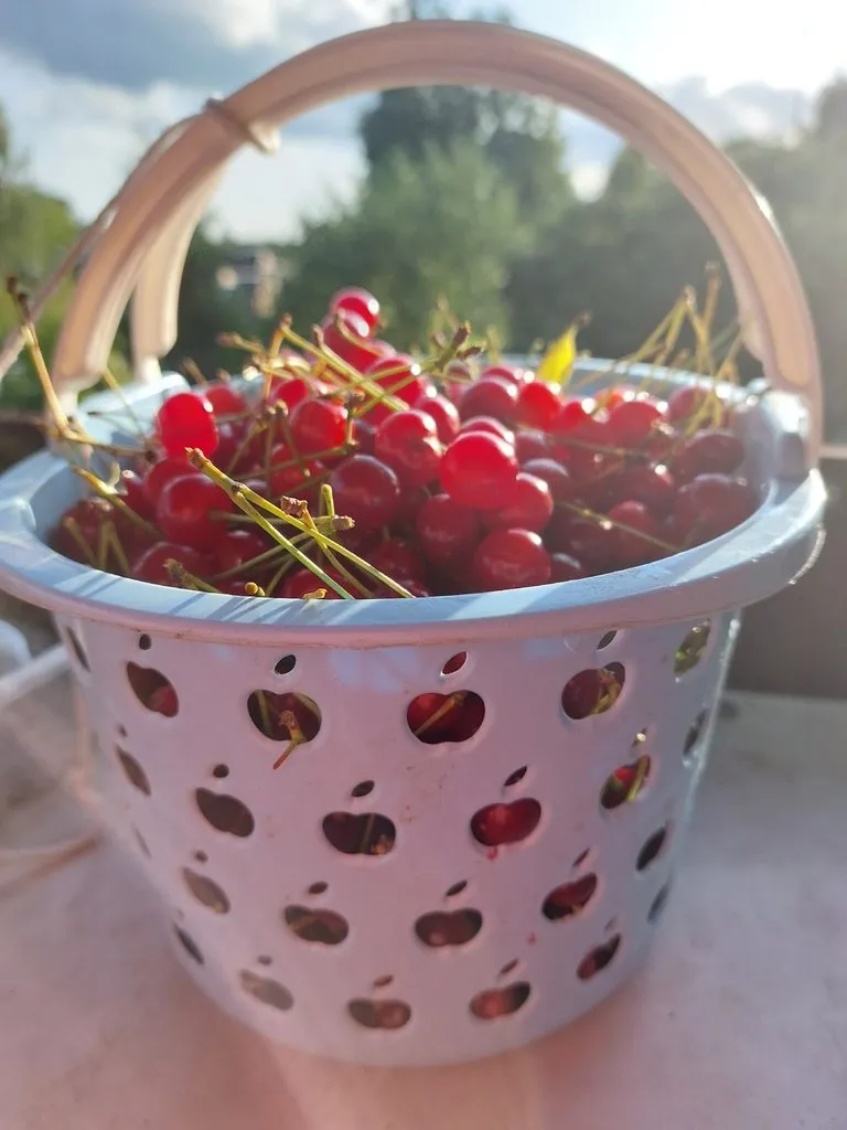 Кафе "У пани Сони"