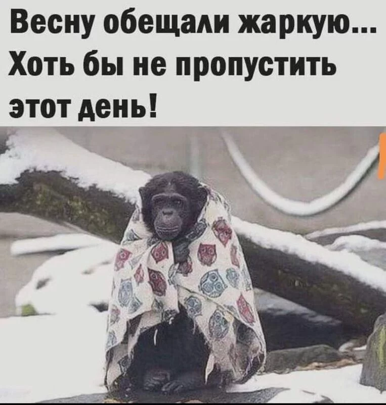 Посмеялся сам - поделись с другом!!!