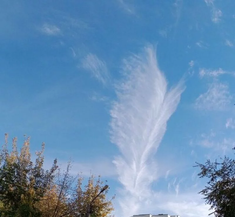 Такое разное небо