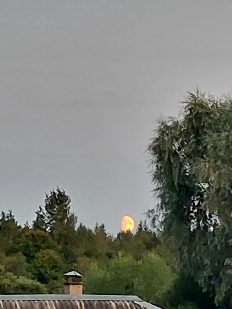 Такое разное небо