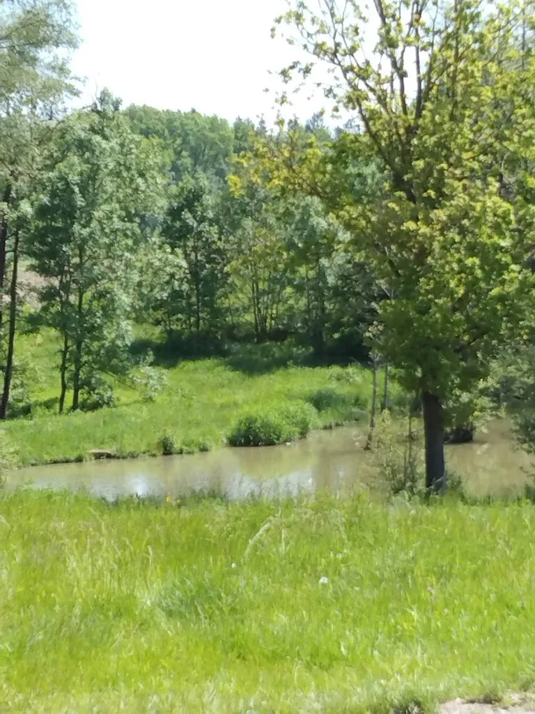 Чайная беседка