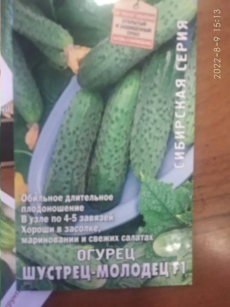 Сажаем, растим, собираем урожай…