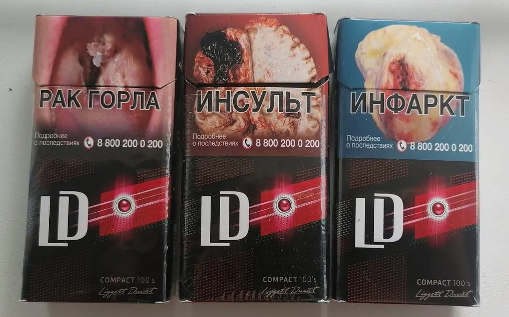 Всюду рифмы