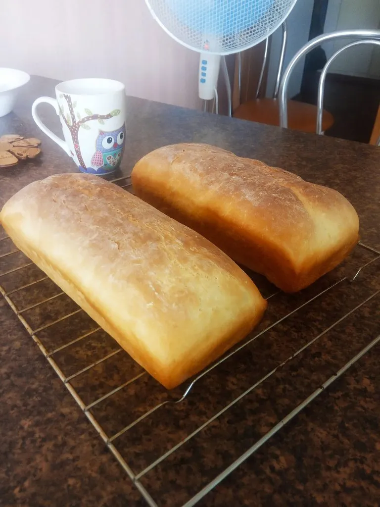Tapтaлeтки & Ко