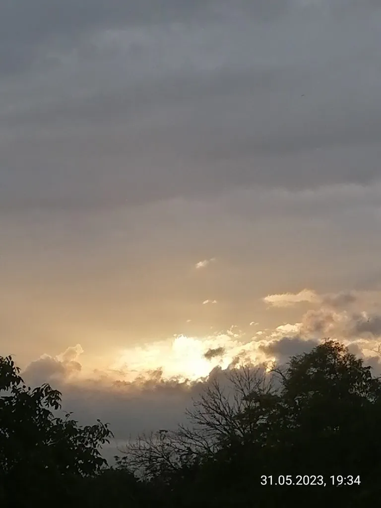 Чайная беседка