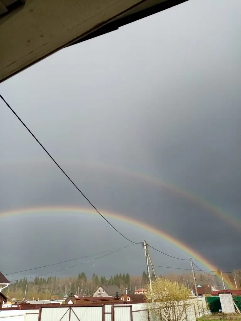 Tapтaлeтки & Ко