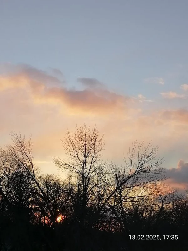 Такое разное небо