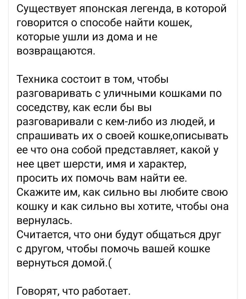 Кто сказал "Мяу"?