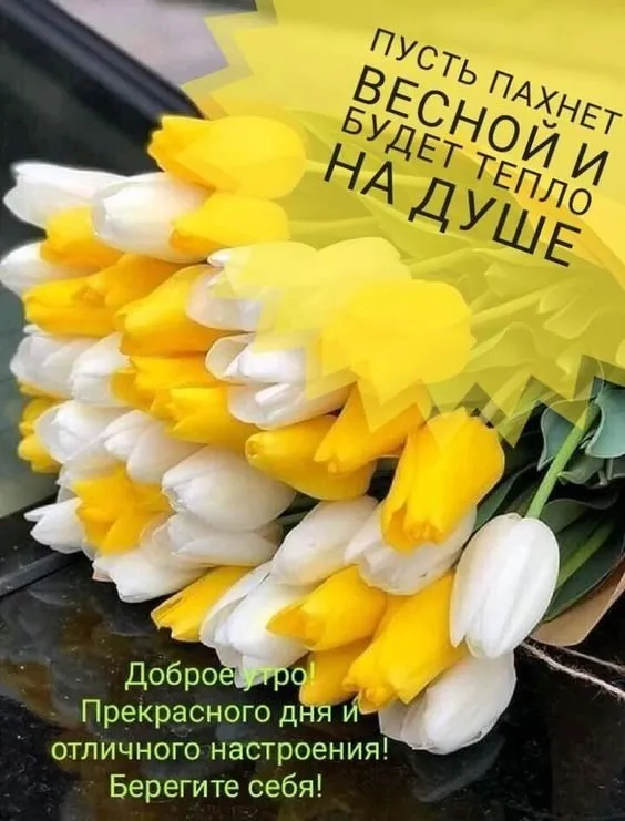 Tapтaлeтки & Ко
