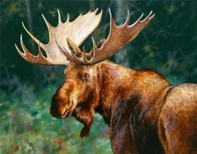 Арт галерея