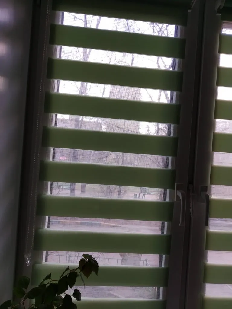 Tapтaлeтки & Ко