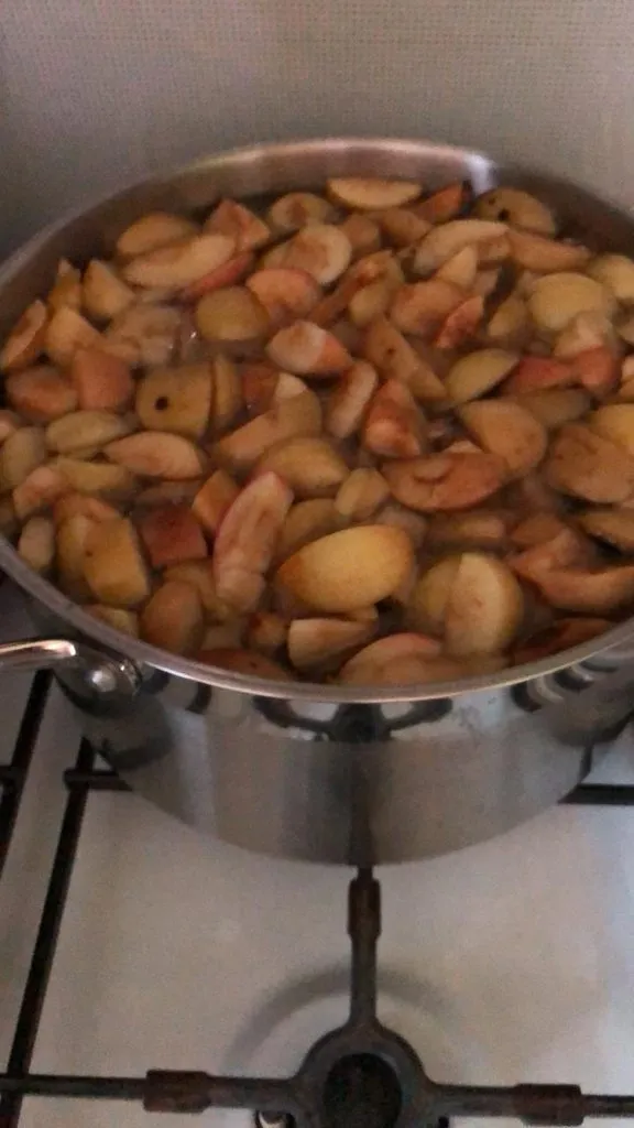 Tapтaлeтки & Ко