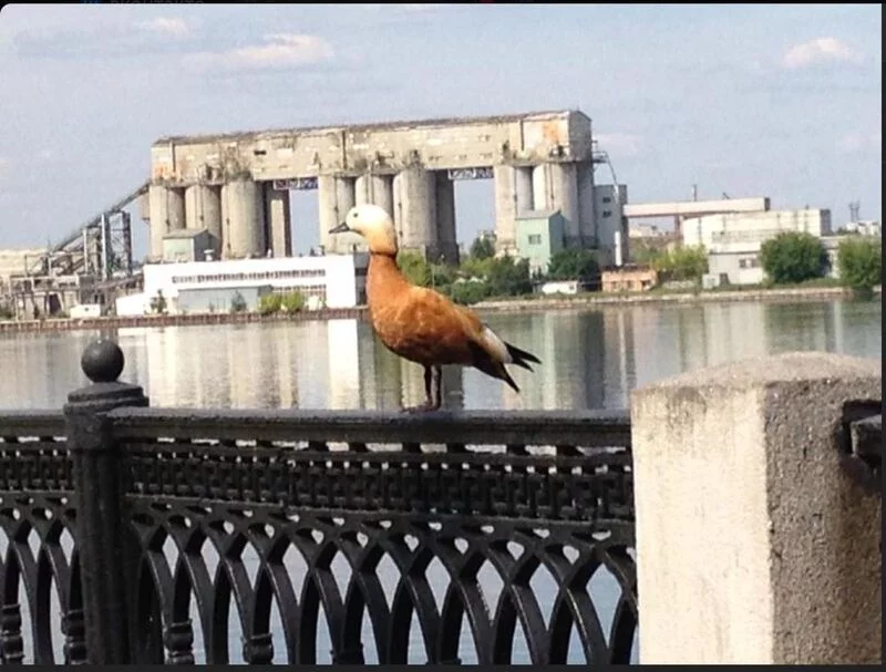 Коломенское