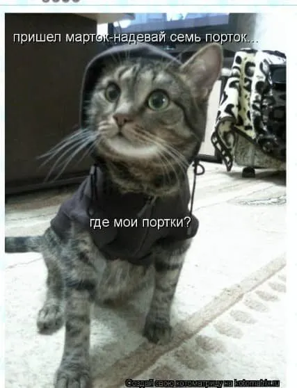 Кошичкина полиция