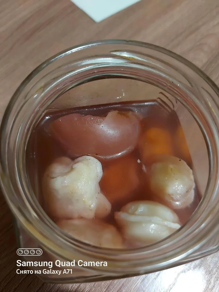 Tapтaлeтки & Ко