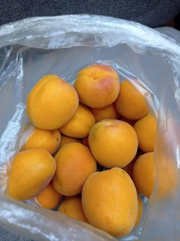 Где, что и когда купить в Москве