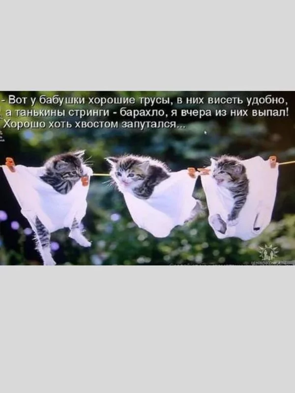 Посмеялся сам - поделись с другом!!!