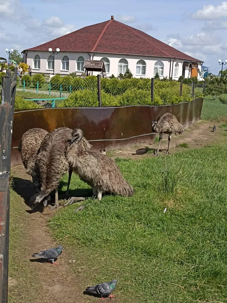 Калининградская область (не только море и янтарь) 