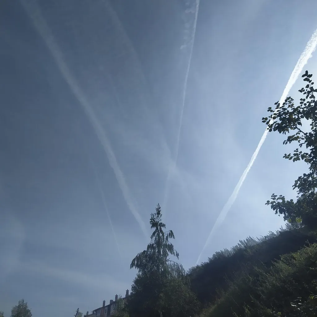 Чайная беседка