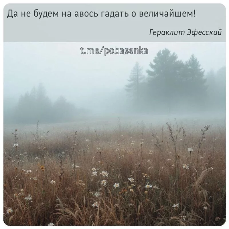 «Да не будем на авось гадать о...» height="550" width="550"