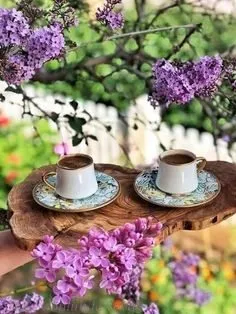 Tapтaлeтки & Ко