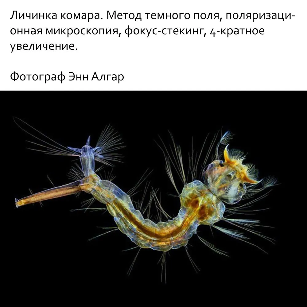Это интересно!