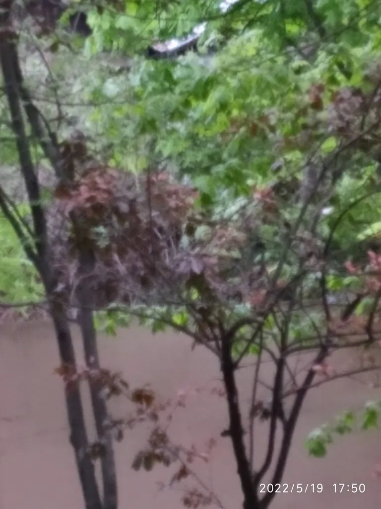 Чайная беседка