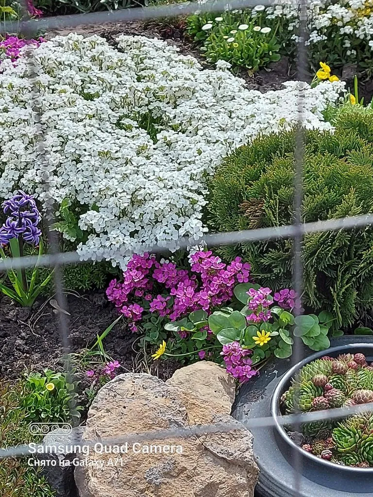 Чайная беседка