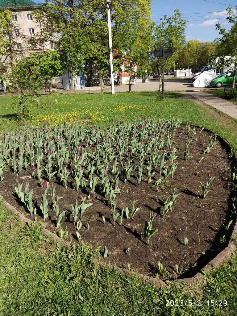 Чайная беседка