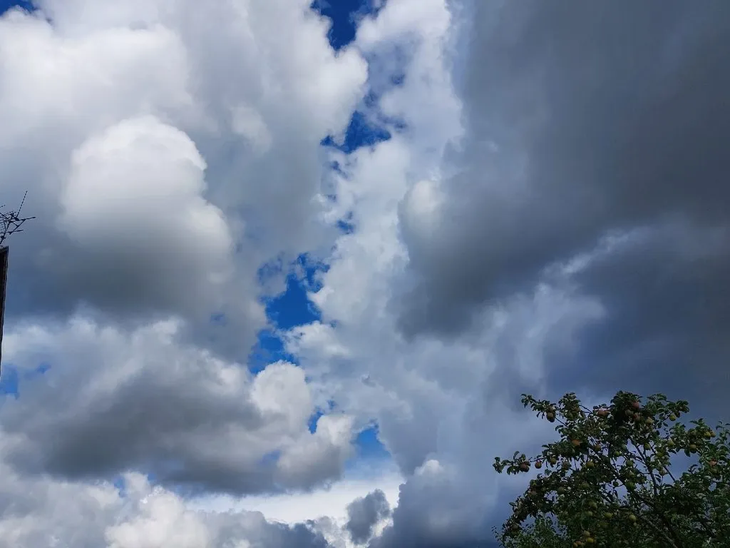 Такое разное небо