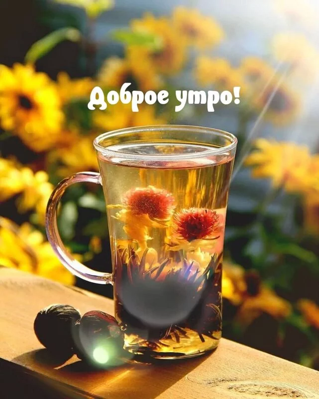 Tapтaлeтки & Ко