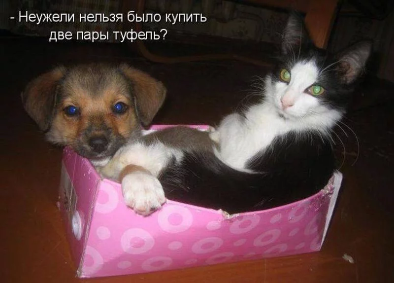 Посмеялся сам - поделись с другом!!!