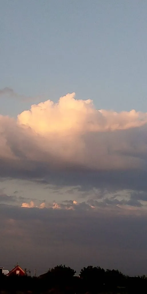 Чайная беседка