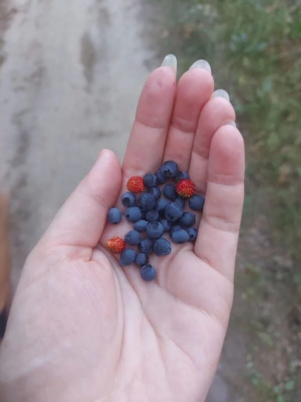 Чайная беседка